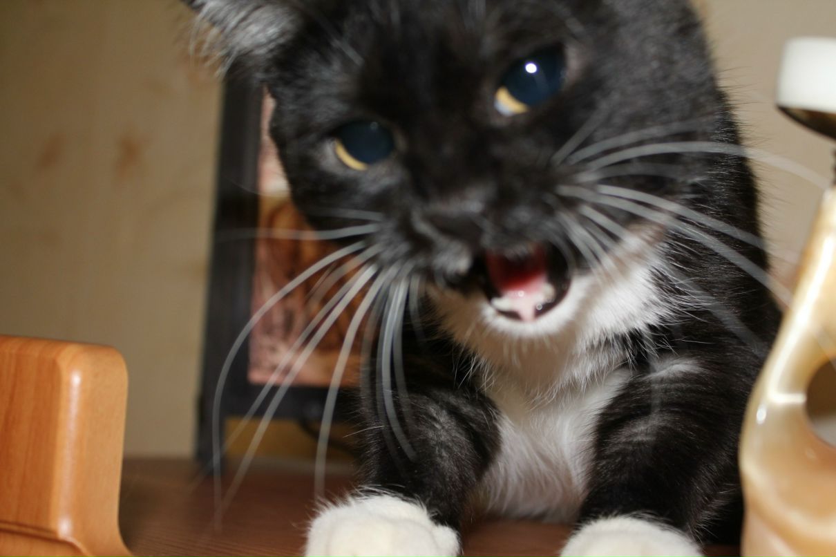 Анна Моисеева | Екатеринбург