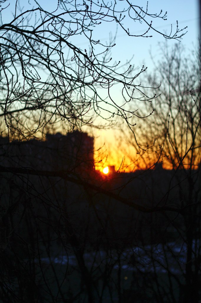 Виктория Гречушкина | Москва