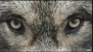 Константин Бондаренко | Тула