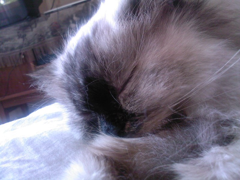 Анастасия Кличко | Новосибирск