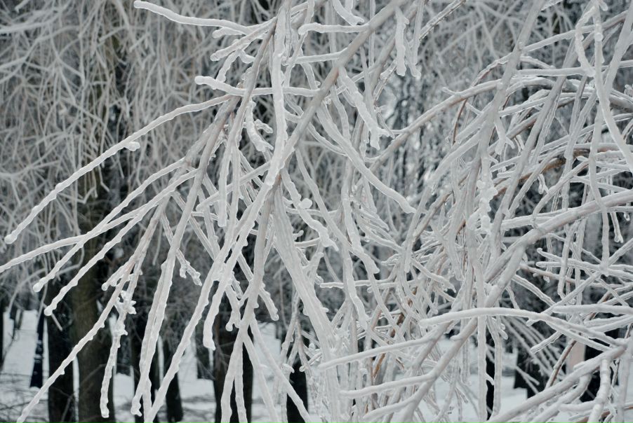 №51, Павел Тарасов, Москва №51, Павел Тарасов, Москва