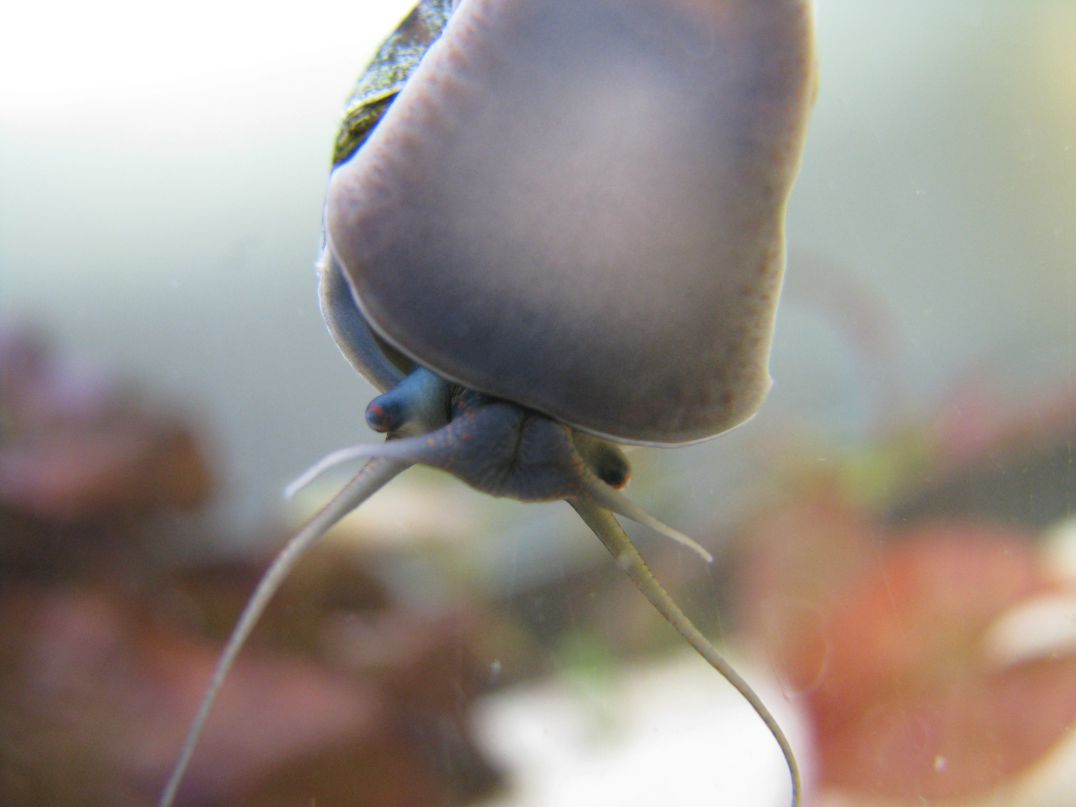 Иван Попов IvanFlamingWolf | Екатеринбург