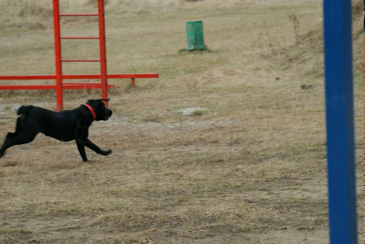 Вова Юрочкін | Львов