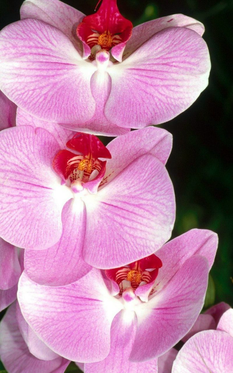 Юля Тищенко | Ровно