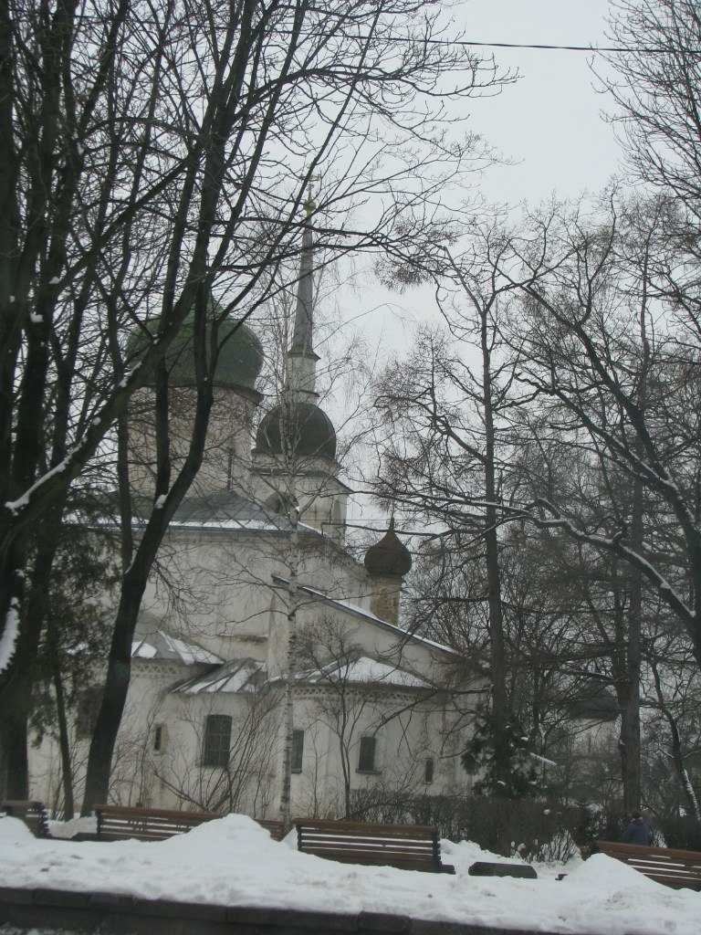 Александра Кульчицкая-Тарасенко | Санкт-Петербург
