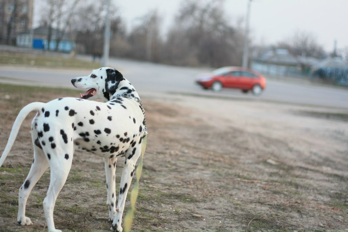 Славик Аджигитов | Москва