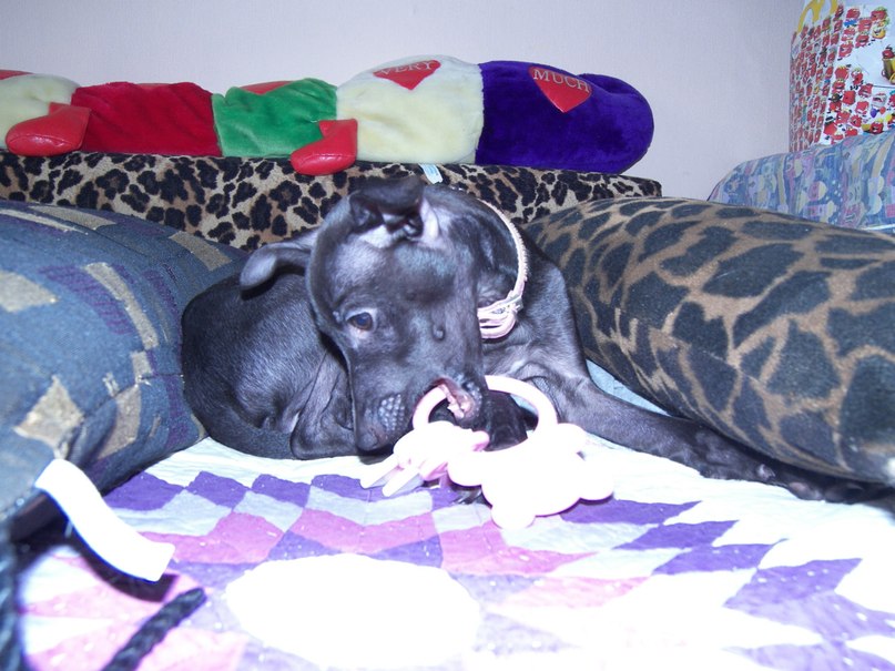 Оксана Маловик | Санкт-Петербург