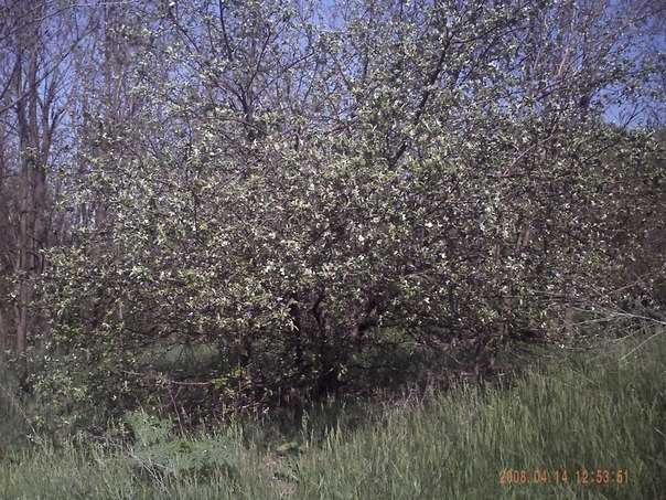 №57, Артур Федоренко, 27 лет, Одесса №57, Артур Федоренко, 27 лет, Одесса