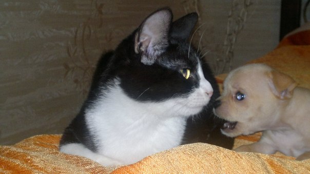 Светлана Алексеева | Санкт-Петербург