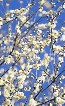 Татьяна Кудрявцева | Москва