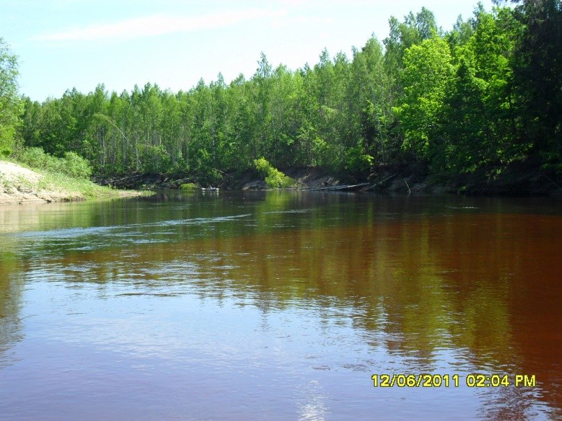 Sergei Shazamov | Нижний Новгород