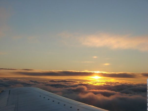 №116, Наталья Тюлина, 37 лет, Калининград, Россия №116, Наталья Тюлина, 37 лет, Калининград, Россия