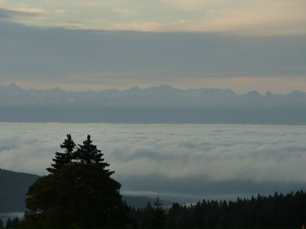 Екатерина Тимофеева | 