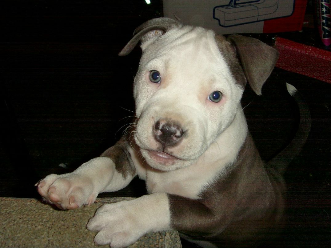 Глеб Ли | Запорожье