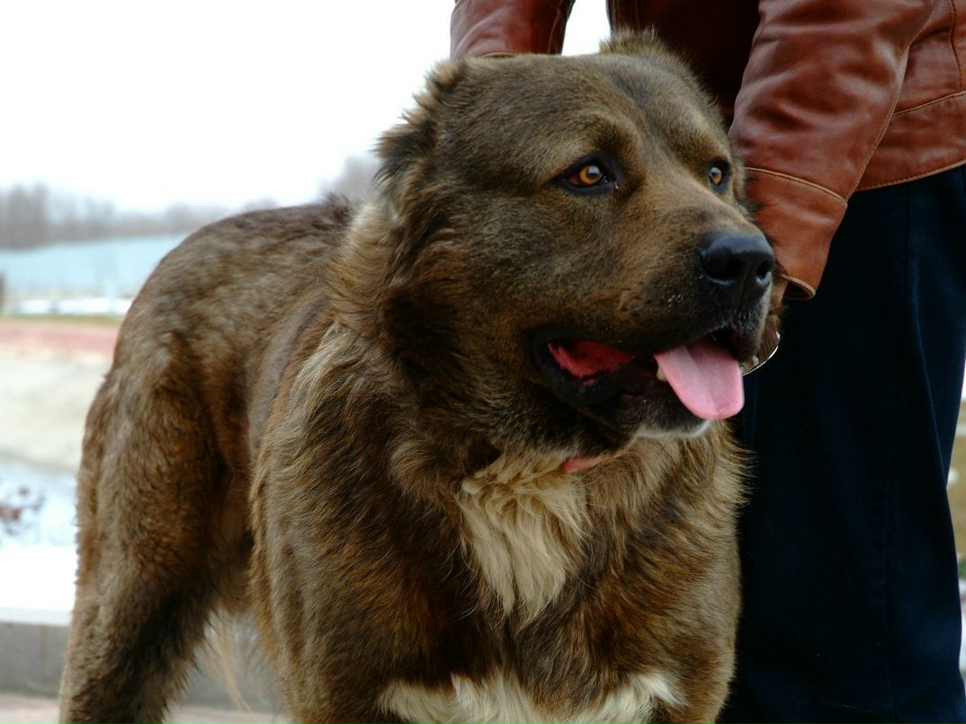 Владислав Бичурин | Москва
