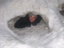 Фотография Тихонова Алексея