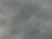 Лена Федорова | Санкт-Петербург