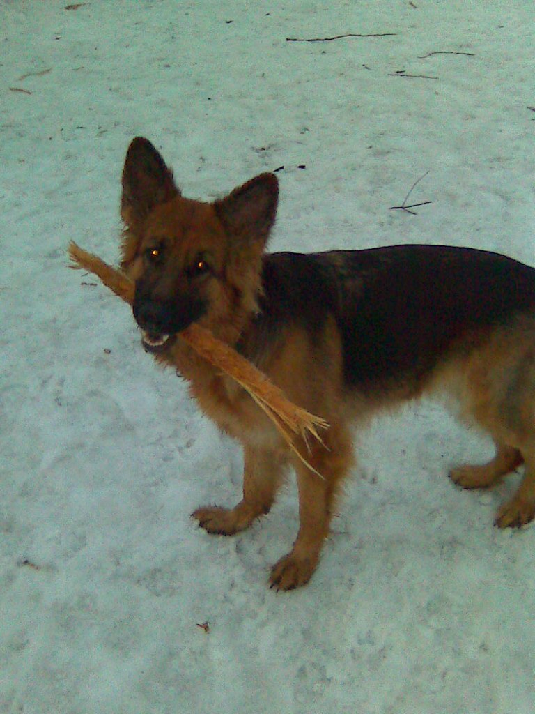 Анна Серова | Вологда