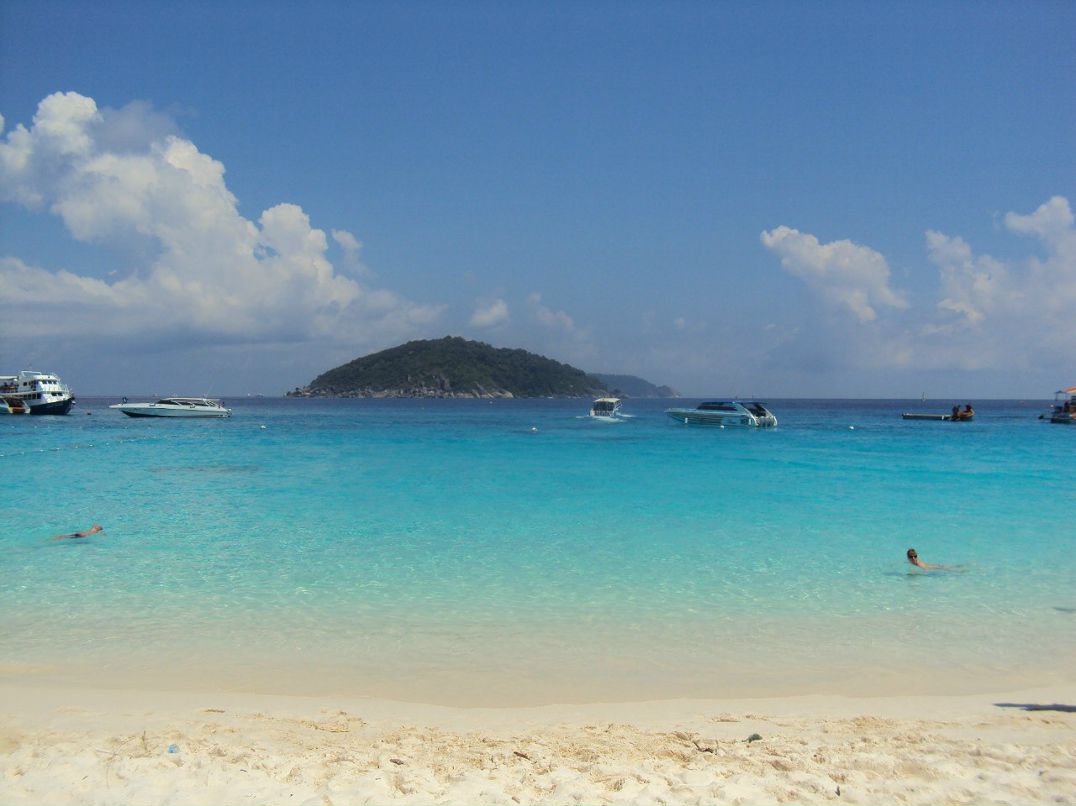 Александр Петров | Витебск