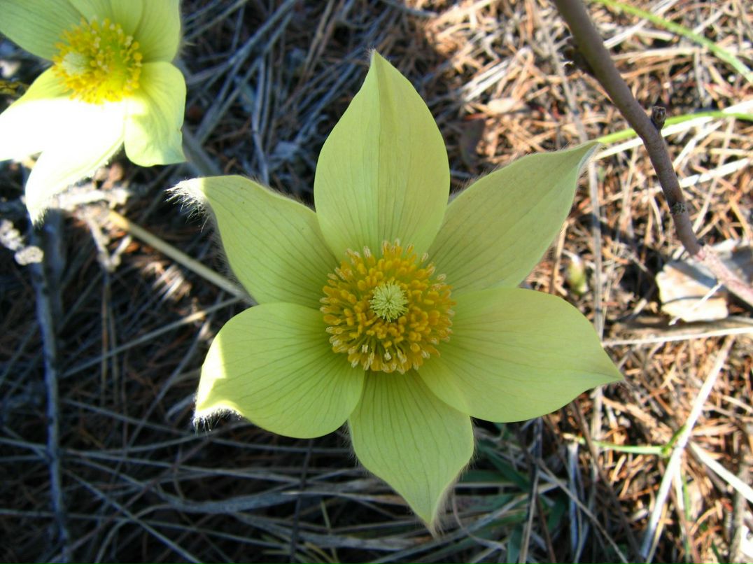 Ильсен Юмагужин | Уфа