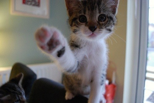 Катерина Великая | Москва