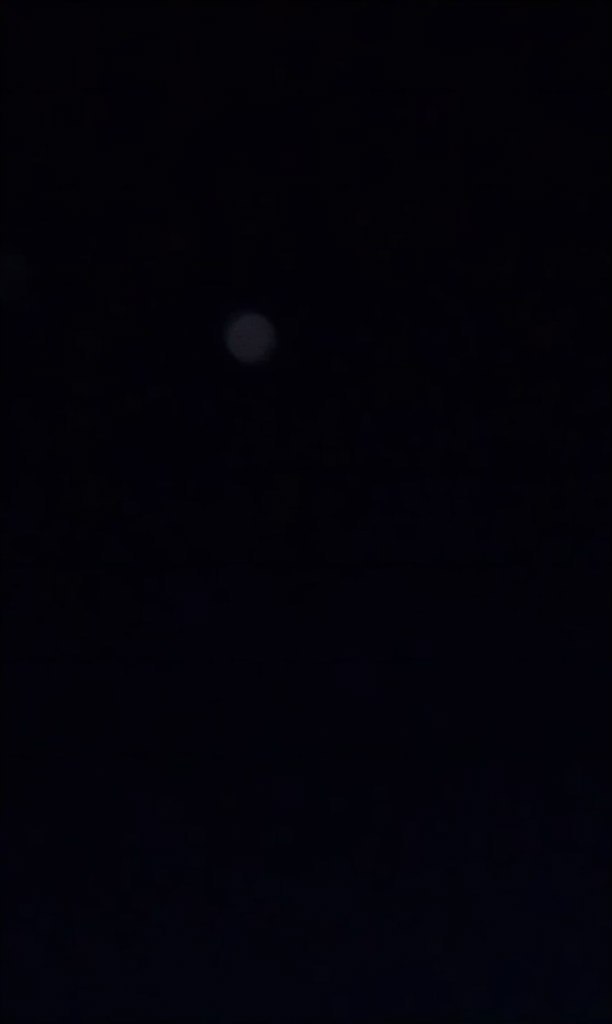 David Traub Martinov | Falls Church