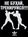 Фотография Акулова Жени