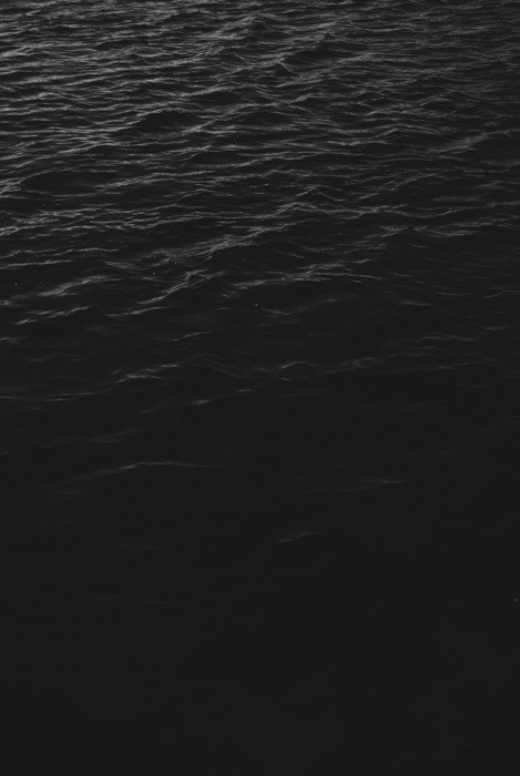 Даша Ельчева | Киев