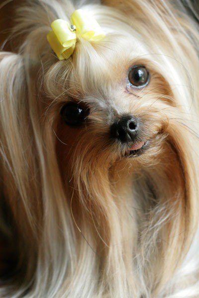 Настюша Пешкова | Днепр (Днепропетровск)