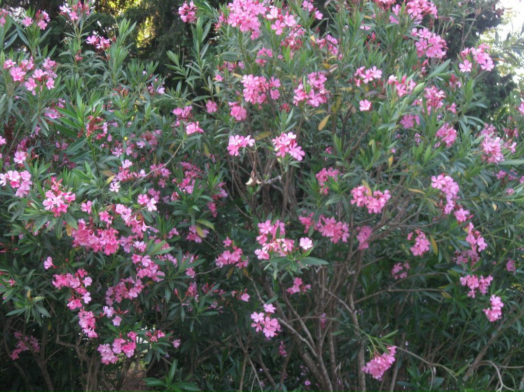 Руслан Коптюк | Ярославль