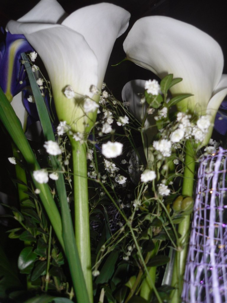 Валентина Быкова ☜(ړײ)☞ TINKA | Львов