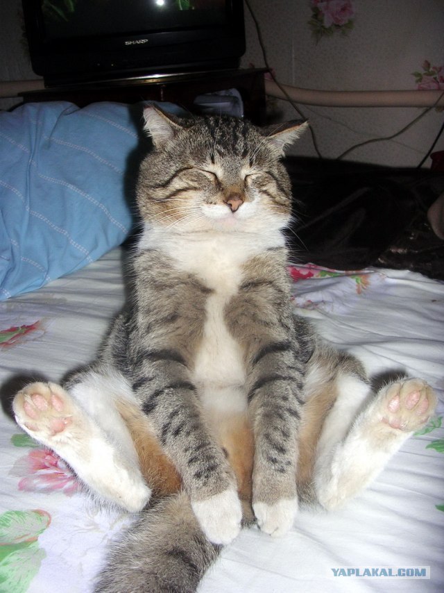 Илья Кузнецов | Волгоград