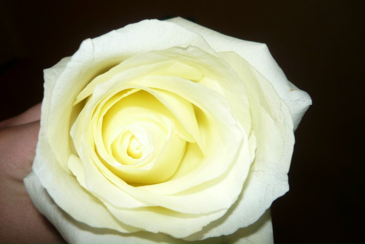 Наталья Антонова | Казань