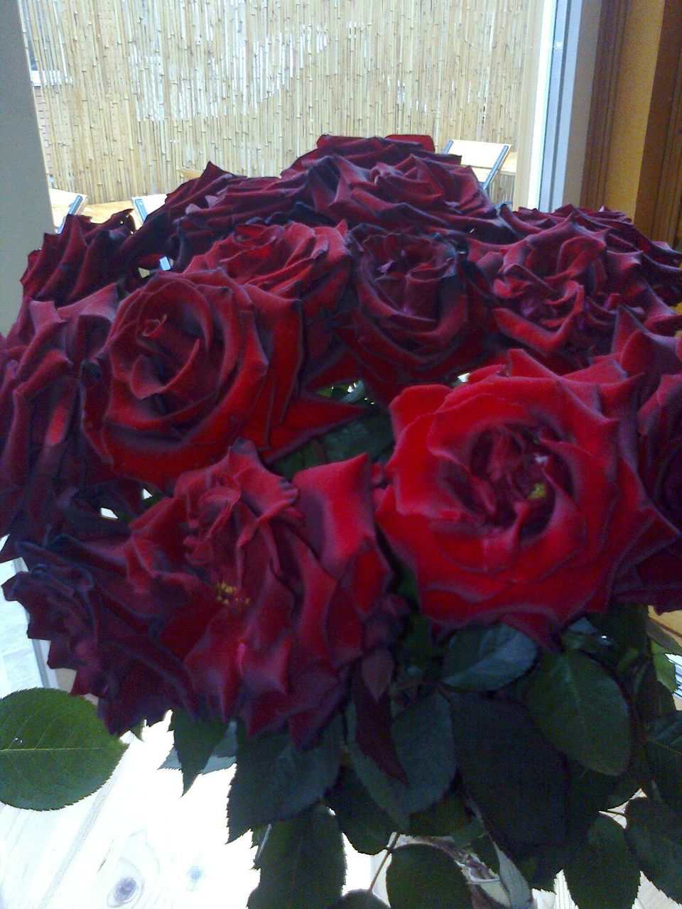 Оля Попова | Горишние Плавни / Комсомольск