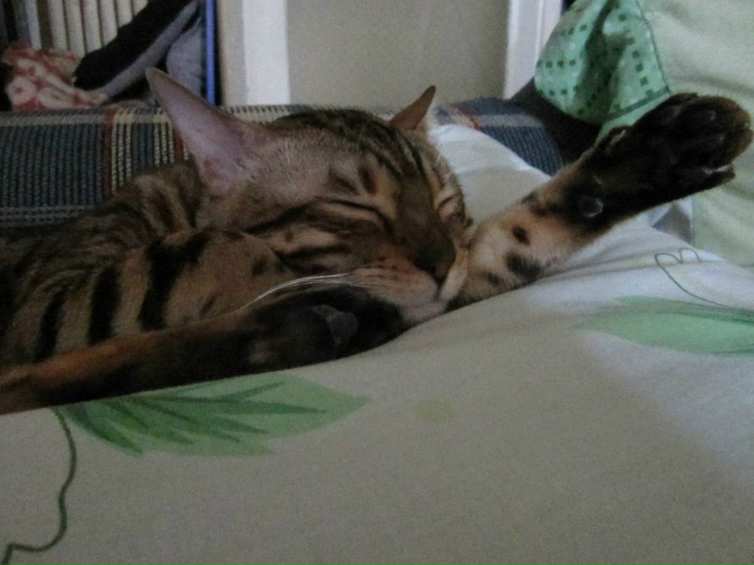 Анка Рыжая | Санкт-Петербург