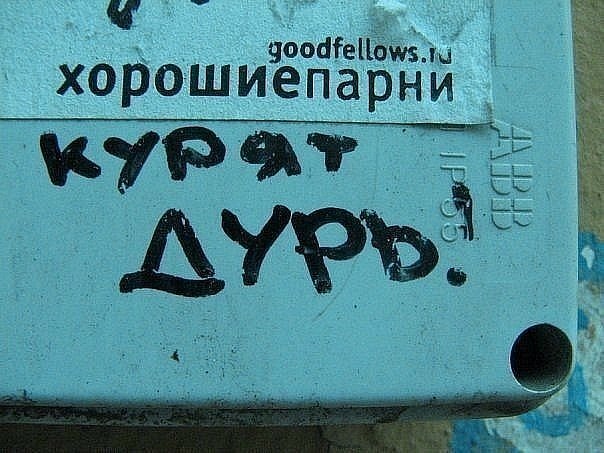 Дарья Прокопьева | Красноярск