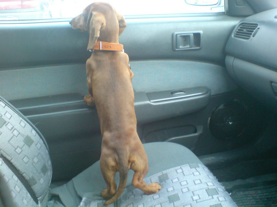 Кристина Аврорская | Новосибирск