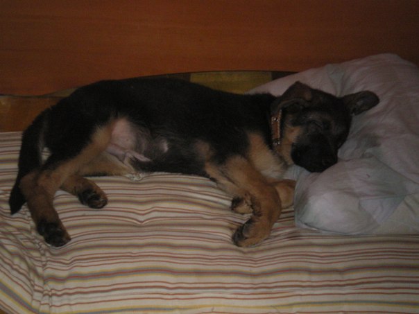 №41, Vera Mavrina, Тобольск №41, Vera Mavrina, Тобольск