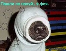Наталья Туранова, Киров, Россия, 03.06