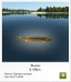 Андріан Береза фотография #27 (источник - https://vk.com/id84799487)
