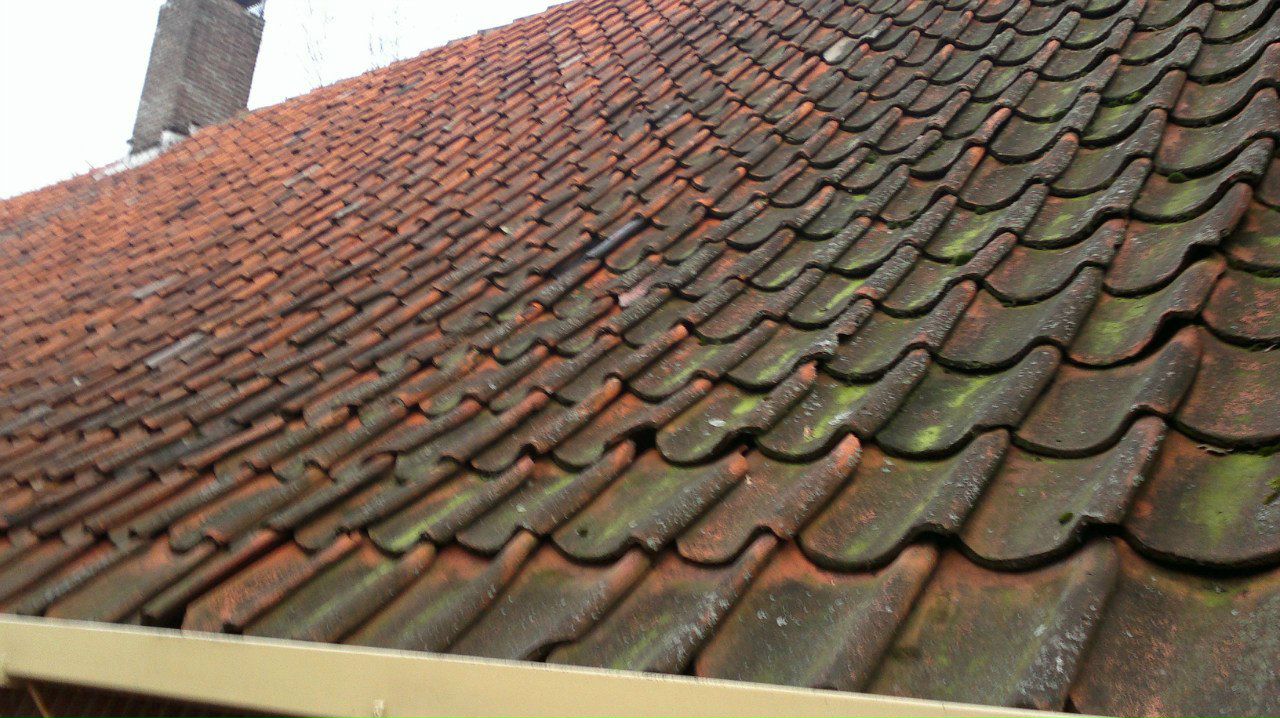 Сергей Sergiolink Sergio | Санкт-Петербург