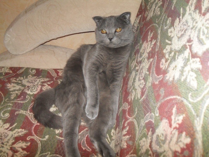 Борис Швецов | Москва