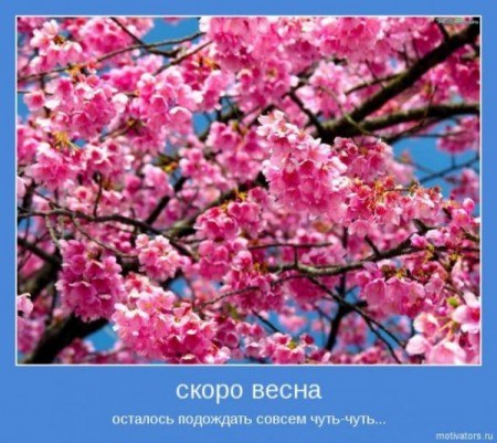 №117, Юлия Колпаченко, 25 лет №117, Юлия Колпаченко, 25 лет