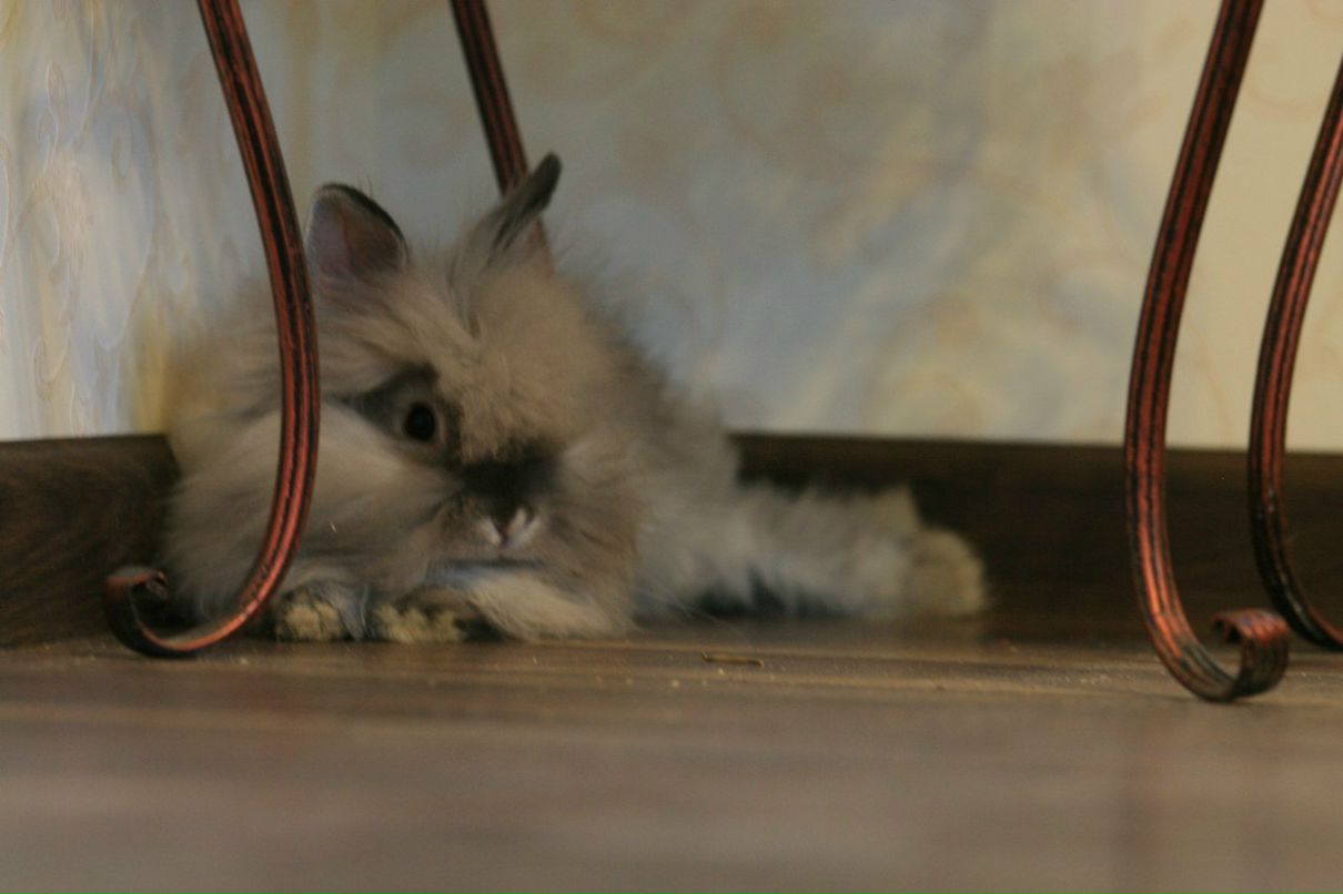 Елена Кузнецова | Санкт-Петербург