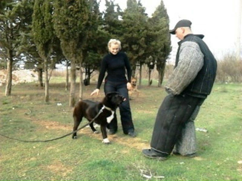 №78, Руслан Гордеев, Львов №78, Руслан Гордеев, Львов