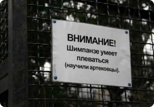 Илья Николаев | Kokopo