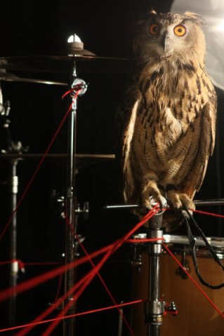 Dee Man ★ | Санкт-Петербург