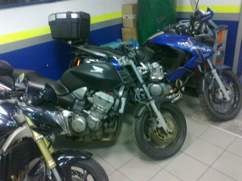 Любомир Майовець | Львов