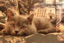 №34 Никита Москвин : профиль, фото, статус - ВКонтакте