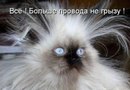 Фотография Панасюка Максима